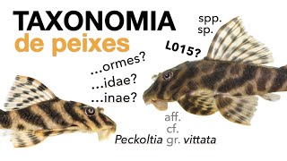 Introdução à taxonomia de peixes [upl. by Waechter]