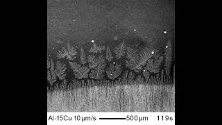 Solidification of Pure Metals and Alloys Recovery Crystallization amp Grain Growth in Hindi [upl. by Riancho]