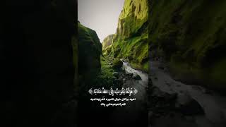 Beautiful Ayat Heart touching feel peace in your heart Allah Quran [upl. by Aikram]