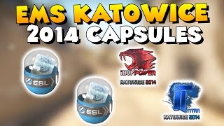 CSGO  Unboxing EMS Katowice 2014 Capsules  iBuyPower amp Titan Holo Dream [upl. by Neibaf]