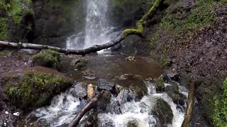 The Gleniffer Braes waterfall through the seasons [upl. by Eshman574]