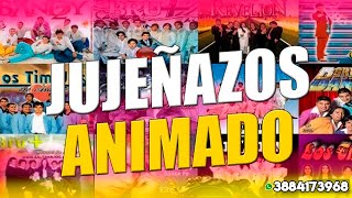 JUJEÑAZOS ANIMADO [upl. by Ealasaid]