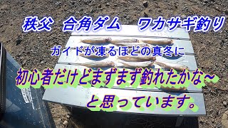 秩父合角ダムでワカサギ釣り ガイドが凍るほどの真冬に 初心者だけどまずまず釣れたかな～と思っています。 [upl. by Bearnard]