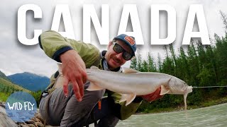 96 HOURS NORTH A Week of Fly Fishing in Canada pt 1 [upl. by Ansilme587]