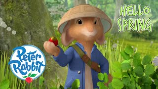 OfficialPeterRabbit  Hello Spring 🌸 🌳 🍃  Spring  Cartoons for Kids [upl. by Ahsar]