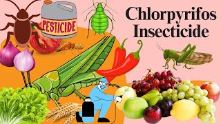 Chlorpyrifos Chemistry Mode of Action Formulation Uses and Dosage [upl. by Elmer]