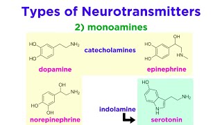 Neurotransmitters Type Structure and Function [upl. by Muryh753]