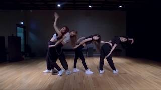 MIRROR  BLACKPINK  뚜두뚜두 DDUDU DDUDU DANCE PRACTICE VIDEO [upl. by Vasili]