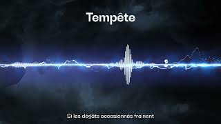 Reconstruire après la tempête  Podcast quotTempêtequot épisode 2 [upl. by Johanna]