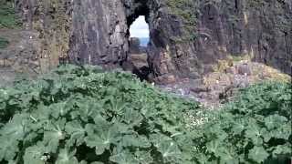 Exploring the cave on Fidra Island near North Berwick ScotlandMOV [upl. by Anuqahs]