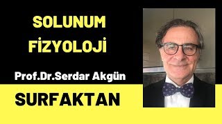 Surfaktan Solunum Fizyoloji Tıp Öğrencileri [upl. by Neeoma]