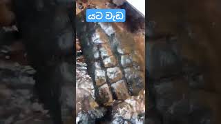 Nidan wasthu nidansalakunugemstone nidangodaganima ashiyaproducion gem viralvideo treasure [upl. by Zuliram]