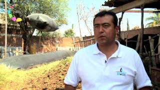 Biodigestores Sistema Biobolsa en Morelos [upl. by Anirrak]