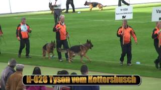 2010 SV BSZS NKGR part 20 Tyson vom Kottersbusch HD [upl. by Juley145]