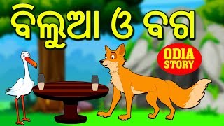 ବିଲୁଆ ଓ ବଗ  The Fox and The Stork in Odia  Odia Story  Fairy Tales in Odia  Koo Koo TV [upl. by Airat]