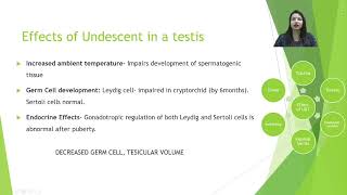 Lecture 3 Undescended testis Cryptorchidism by Dr Kanika Sharmam Pediatric Surgery IMS BHU [upl. by Narcissus]