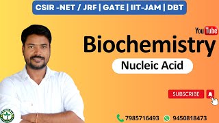 Nucleic Acid  Nucleotides  DNARNA  Biochemistry  CSIR  GATE  IITJAM DBT genesisinstitute [upl. by Htevi]