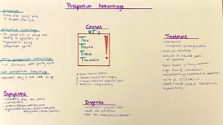 Postpartum Hemorrhage  Diagnosis Causes Treatment Complications [upl. by Norse850]