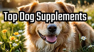 The Best Multivitamins for Your Dog Made By Wuffles  dogsupplements [upl. by Suoivatra375]