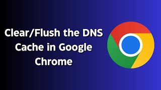 How to ClearFlush the DNS Cache in Google Chrome [upl. by Nasar]