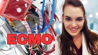 ICU Doctor explains ECMO  Life Support [upl. by Neleag]