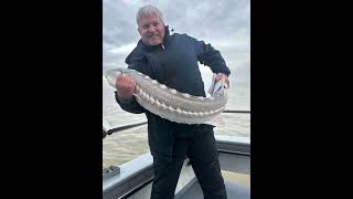 Epic Sturgeon Season 20232024 [upl. by Mcgill]