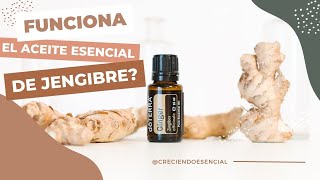 Como usar el Aceite Esencial de Jengibre dōTERRA USOS y BENEFICIOS [upl. by Sacrod73]