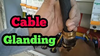 cable glanding cable गलेंड कैसे करे। how to cable gland [upl. by Noseimaj]