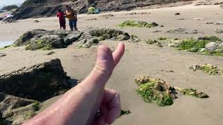 What are intertidal zones [upl. by Lindblad58]