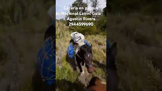 Parque Nacional Lanin [upl. by Moseley]