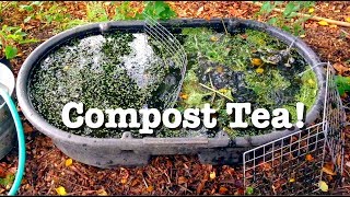 Compost Tea  Simple Bubbler [upl. by Romie]