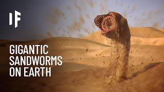 What If There Were Giant Sandworms on Earth [upl. by Winters201]