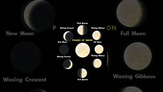 Phases of Moon  Moon  Full Moon  New Moon  Waxing Crescent  Waning Gibbous  Night Sky  Space [upl. by Annod230]