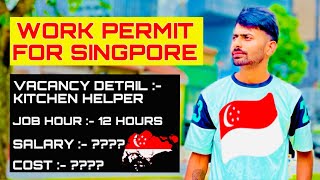 Singapore work visa updates 2024  work hai ya nhi  work visa cost  job amp salary etc 🇸🇬 [upl. by Aniryt]