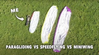 paragliding vs speedflying vs miniwing [upl. by Keemahs]