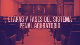 ETAPAS Y FASES DEL SISTEMA PENAL ACUSATORIO [upl. by Ahsoik]