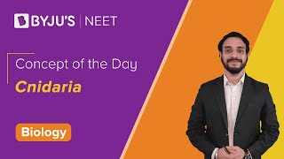 Cnidaria  BIOLOGY  NEET  Concept of the Day  Pushpendu Sir [upl. by Aramahs]