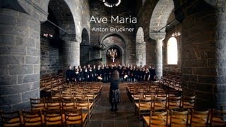 Schola Cantorum  Ave Maria Bruckner [upl. by Odelinda851]