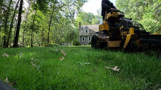 Dethatching a Lawn [upl. by Flor]