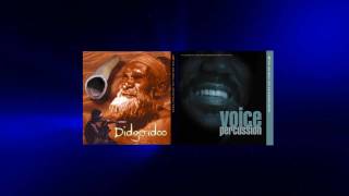 Didgeridoo Meets Voice Percussion [upl. by Mail748]