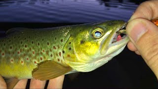 Fenton Lake New Mexico Fishing [upl. by Lotson]