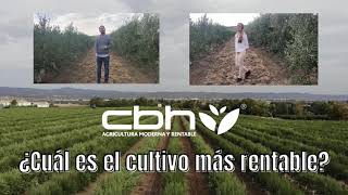 🌳 ¿Cuál es el Cultivo más Rentable en España 2021 [upl. by Dyann]