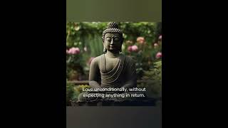 Inspiring Buddha Quotes on Peace of MindLife amp Happiness buddhamotivationalquotes [upl. by Nissie]