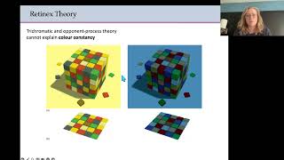 Biopsychology  Colour theories [upl. by Nageek]