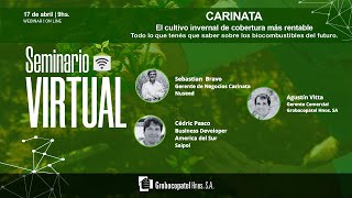 Webinar Carinata lo que tenés que saber del cultivo de cobertura más rentable para este invierno [upl. by Ecinad]