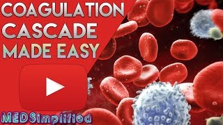 Coagulation Cascade SIMPLEST EXPLANATION  The Extrinsic and Intrinsic Pathway of HEMOSTASIS [upl. by Shaughnessy308]