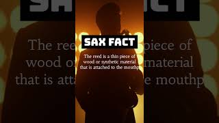 What is a Saxophone REED SAX FACT [upl. by Reginald]