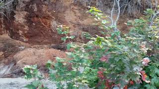 Muskallonge Lake State Park Sawdust pile on Lake Superior 2019 pt2 [upl. by Loziram]