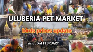 ULUBERIA PET MARKET BIRDS PRICES UPDATE  3rd FEBRUARY cheapestprice uluberiapetmarket viral [upl. by Clemen]