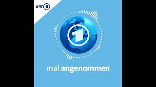 Keine Steuern mehr Was dann  mal angenommen  tagesschauPodcast [upl. by Alyose585]